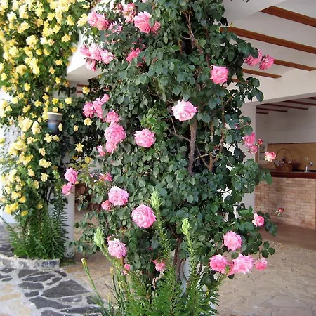 La Casona De Don Bruno El Contador